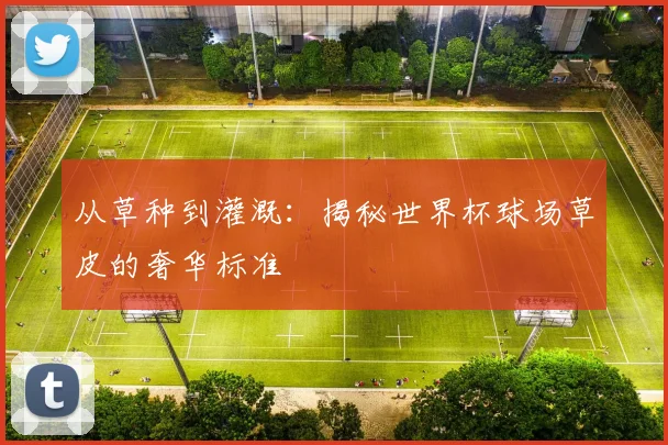 从草种到灌溉:揭秘世界杯球场草皮的奢华标准